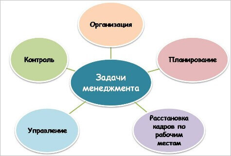 диплом менеджмент